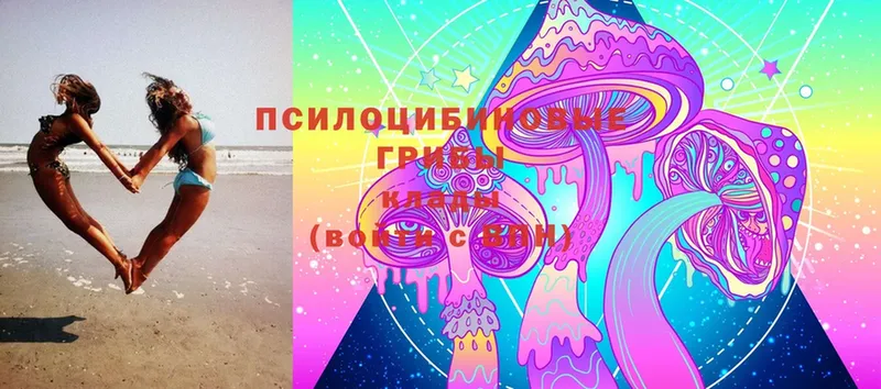 Галлюциногенные грибы Magic Shrooms  Баймак 